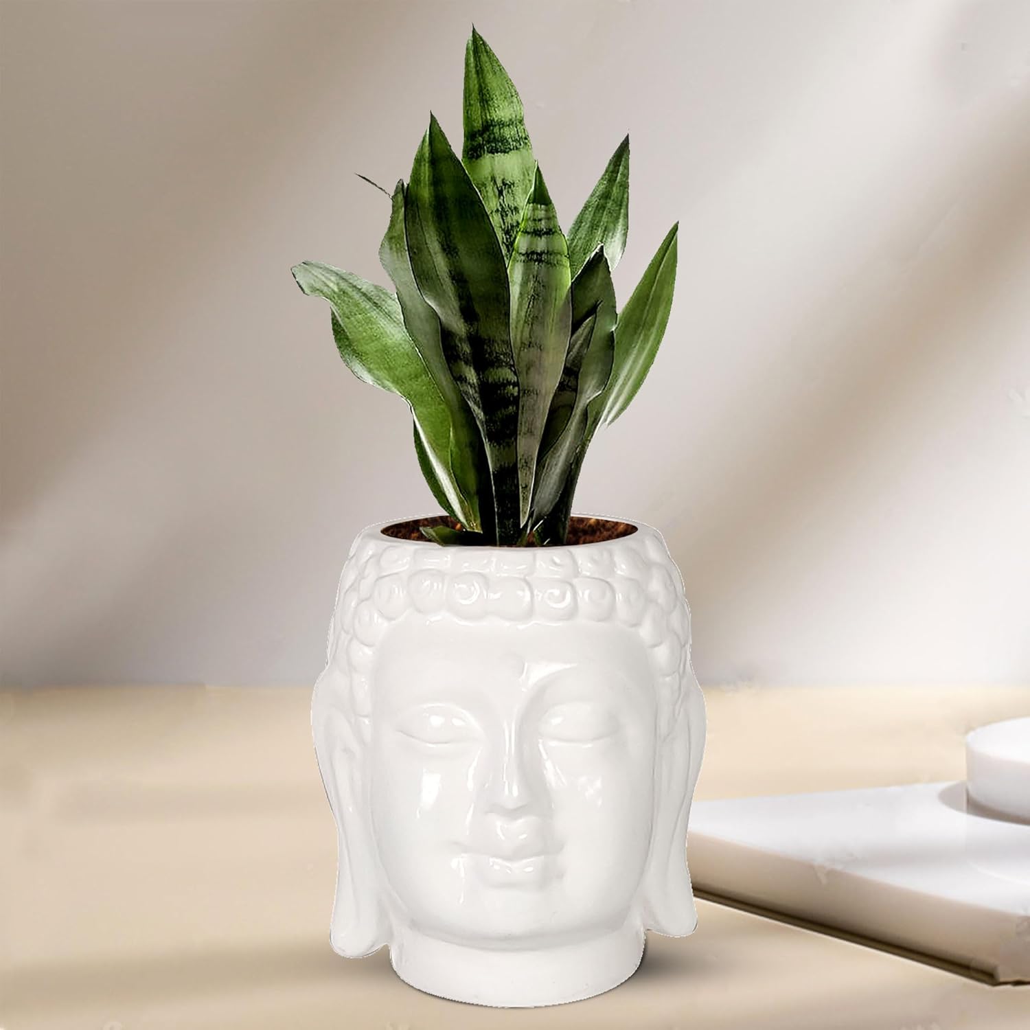 Buddha 6 White Ceramic Pot