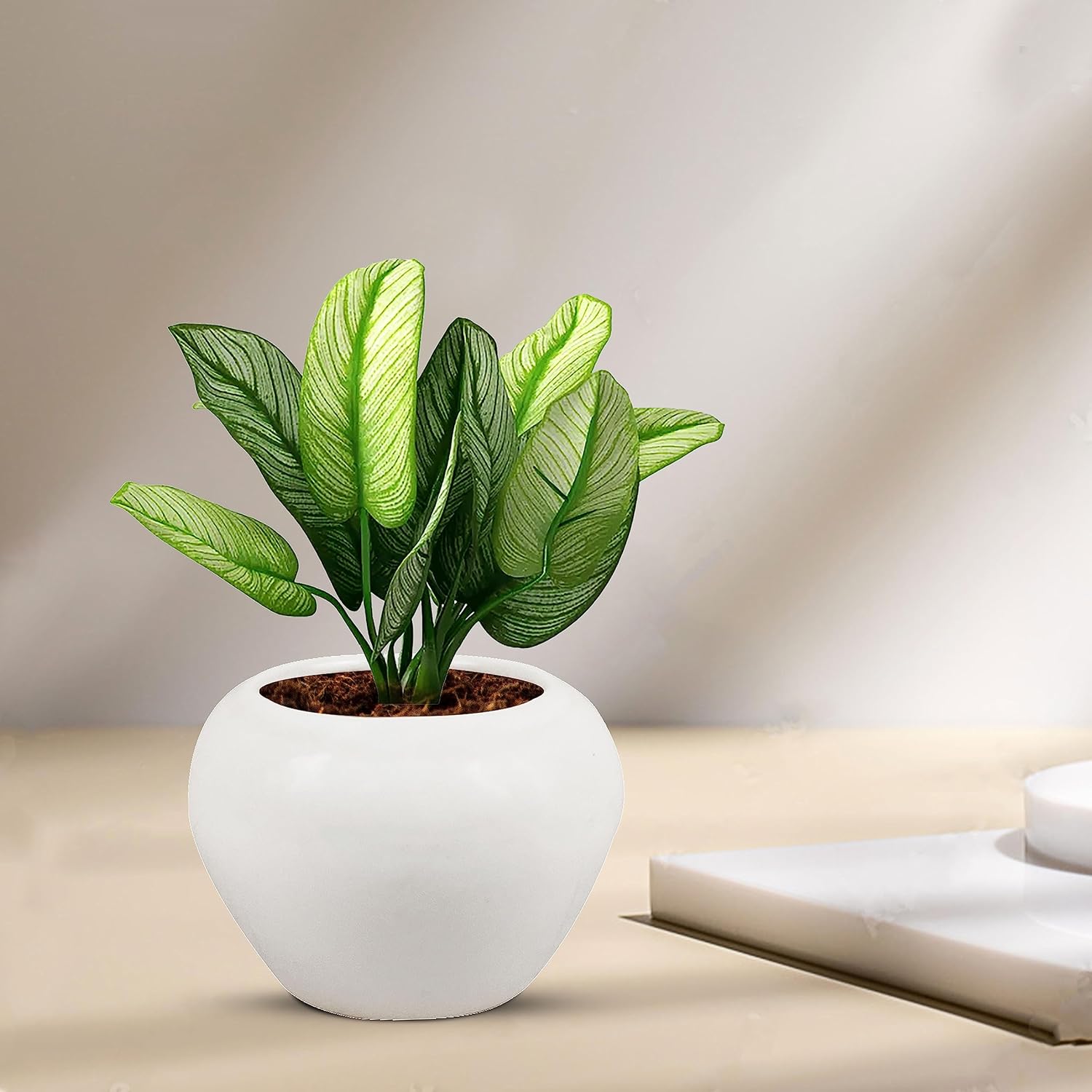 Cloud Apple Small White Ceramic Pot
