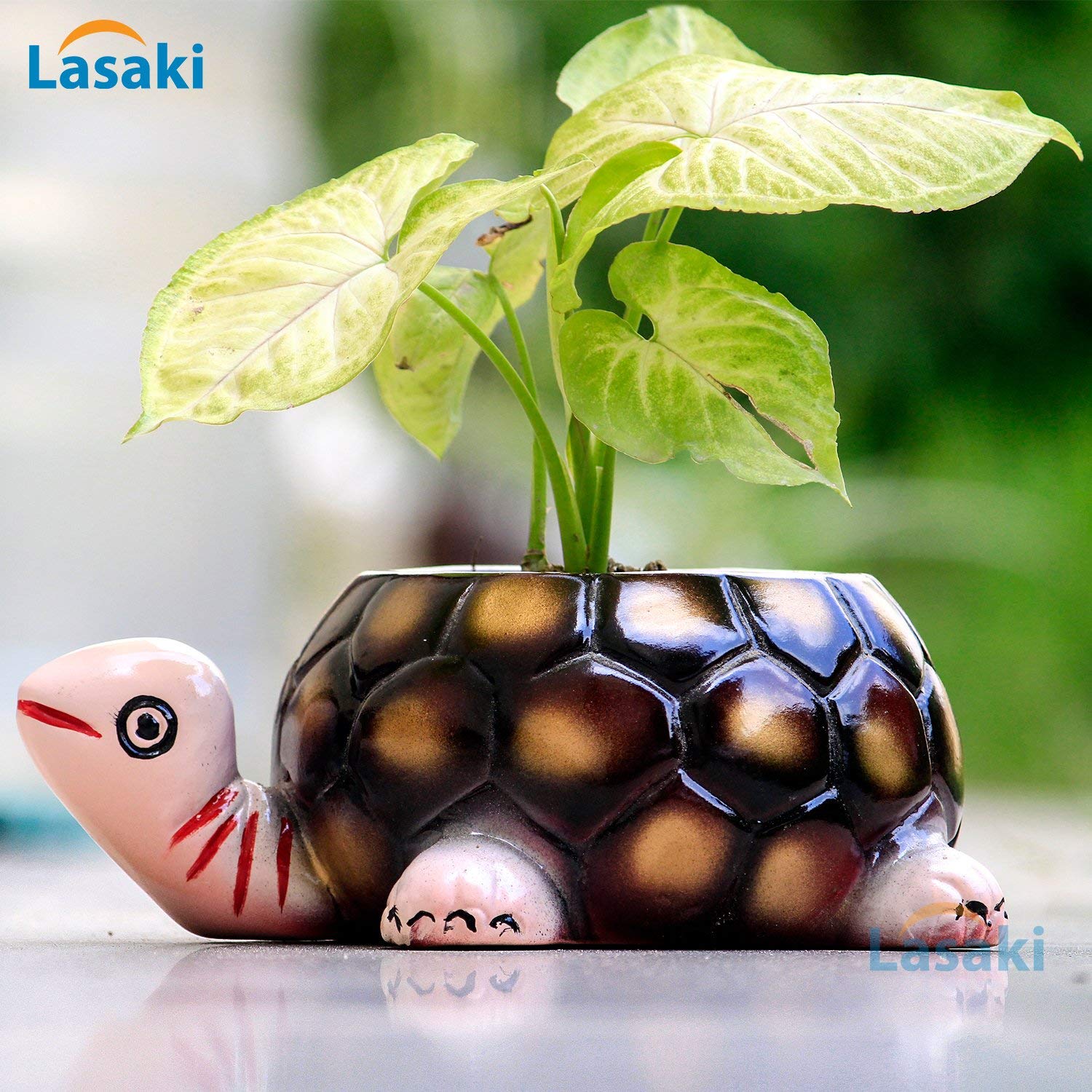Tortoise Big Ceramic Pot