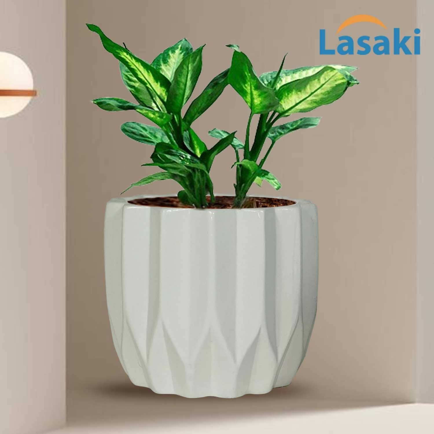 6109en27ICL._SL1500_