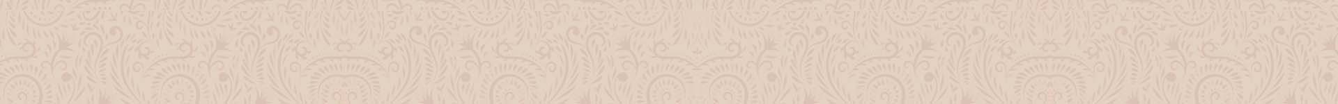 Bangalore Silk