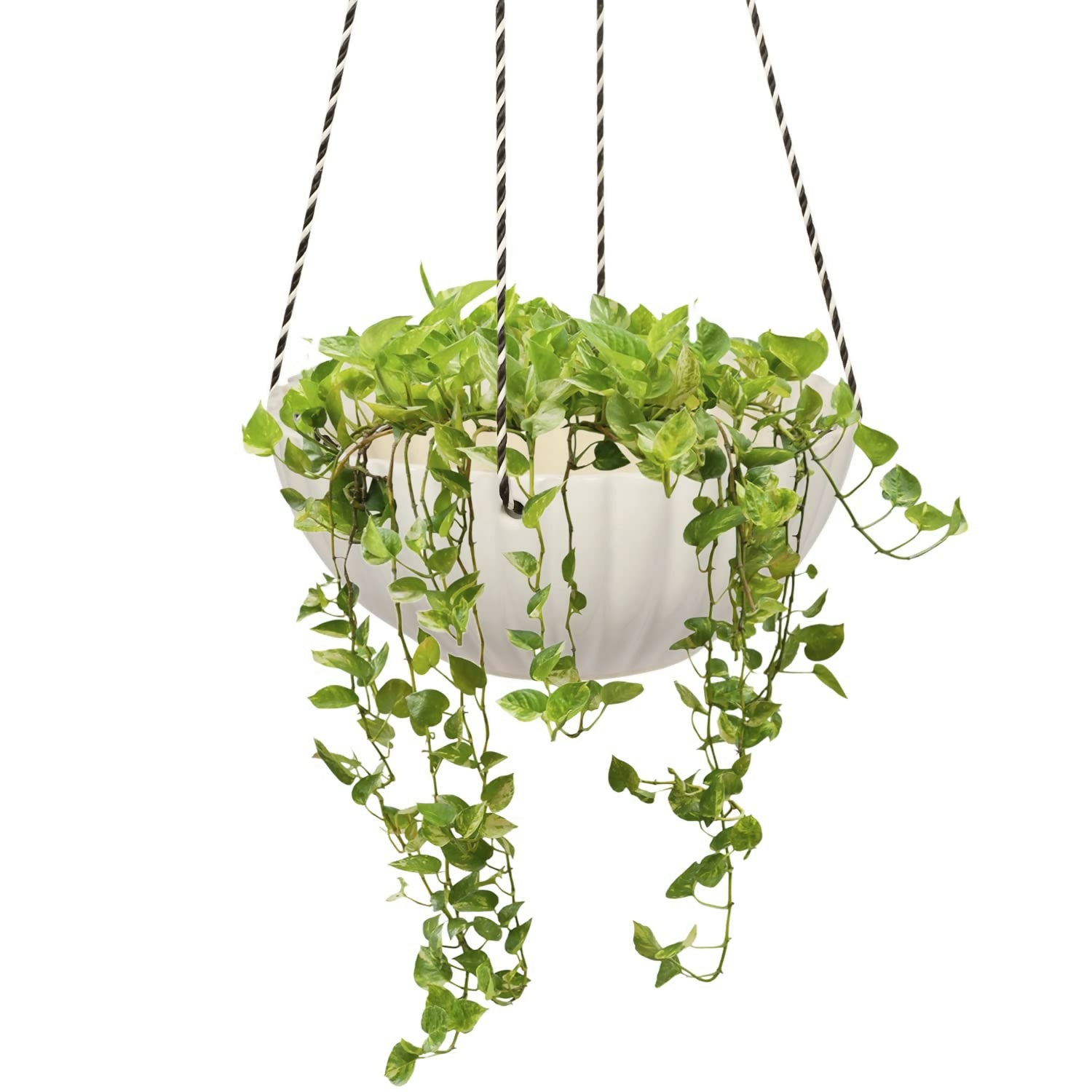 618zf23G5uL._SL1500_