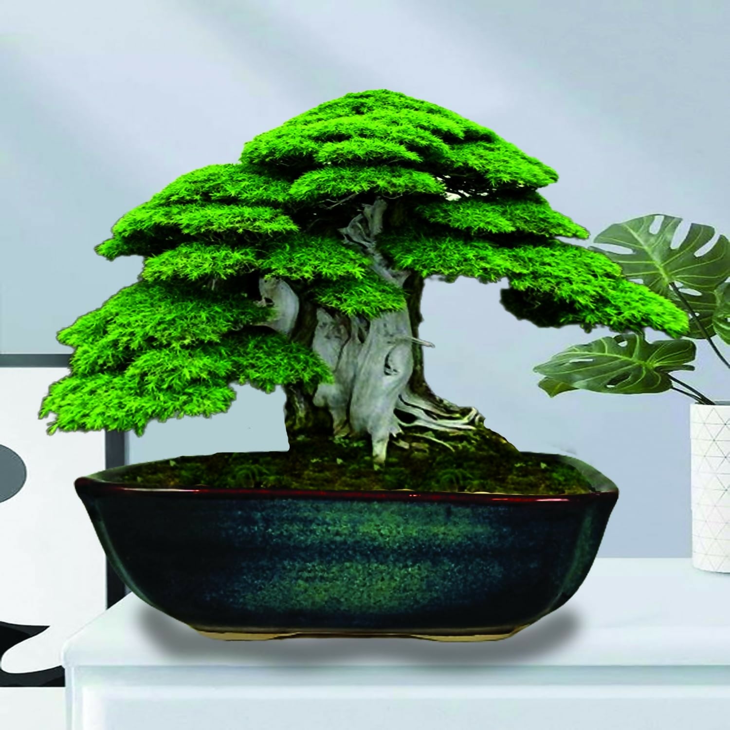 71sOm5fuCuL._SL1500_