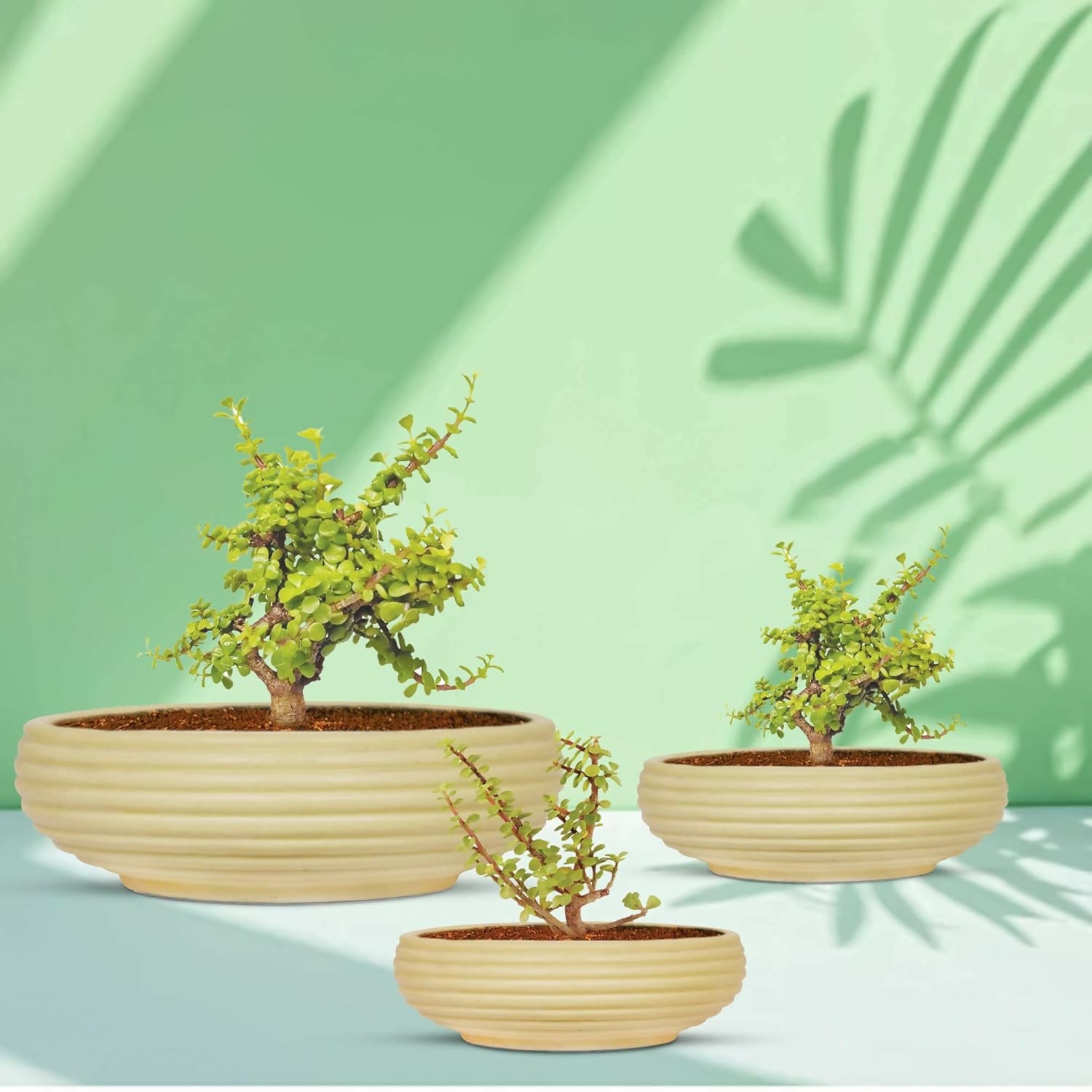 717XL6qAM8L._SL1500_