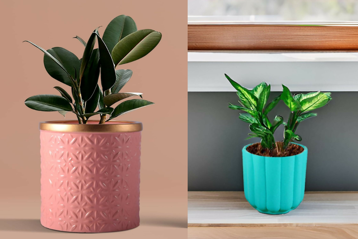 Ceramic Flower Pots & Plant Pots Planters: A Complete Guide to Indoor and Garden Pot Planters in India