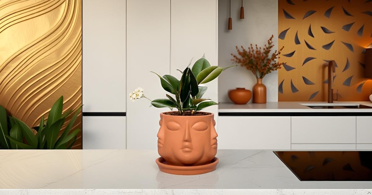 Vivan Ceramic Pot with Saucer Plate