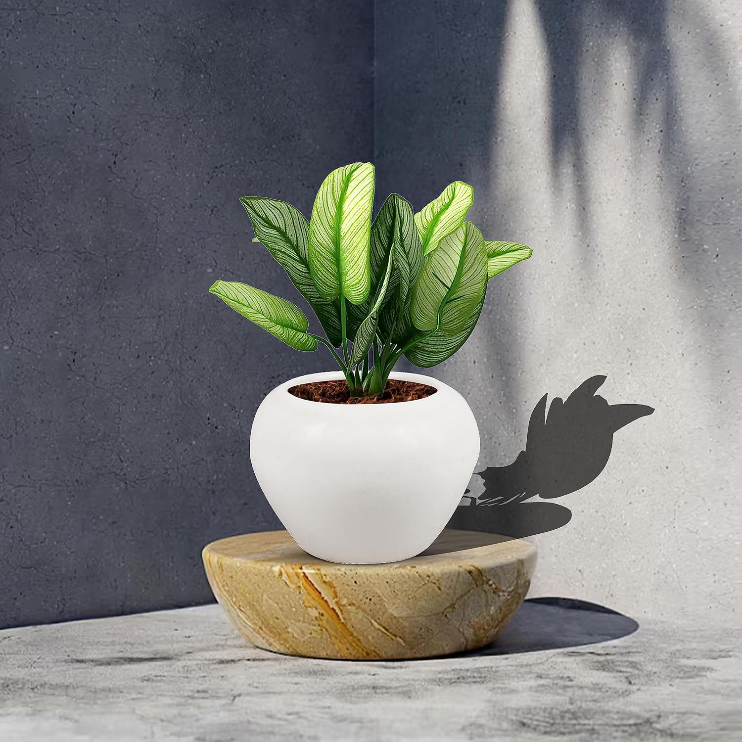 Cloud Apple Small White Ceramic Pot