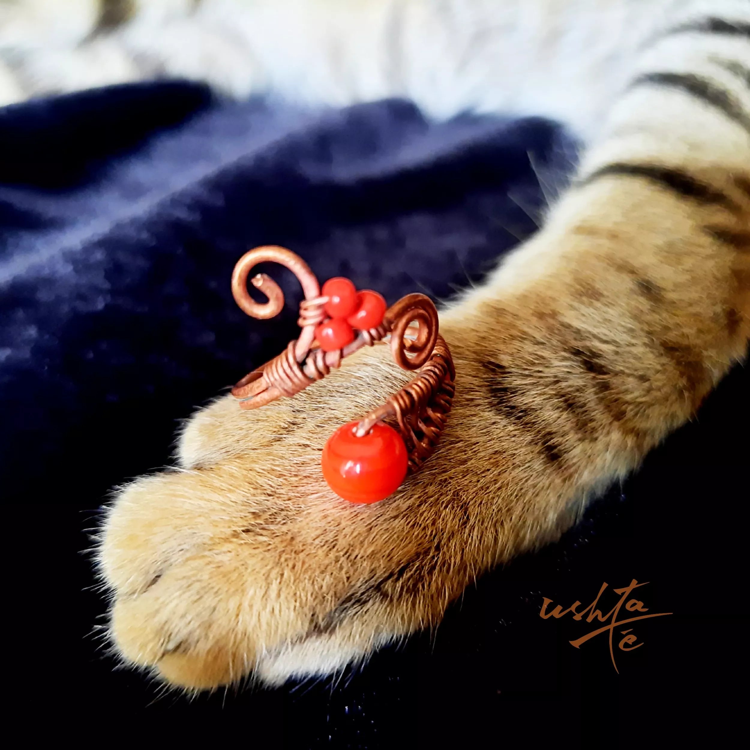 Berry Sting